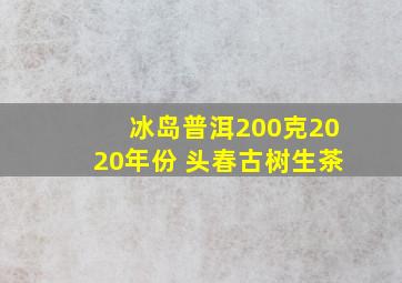 冰岛普洱200克2020年份 头春古树生茶